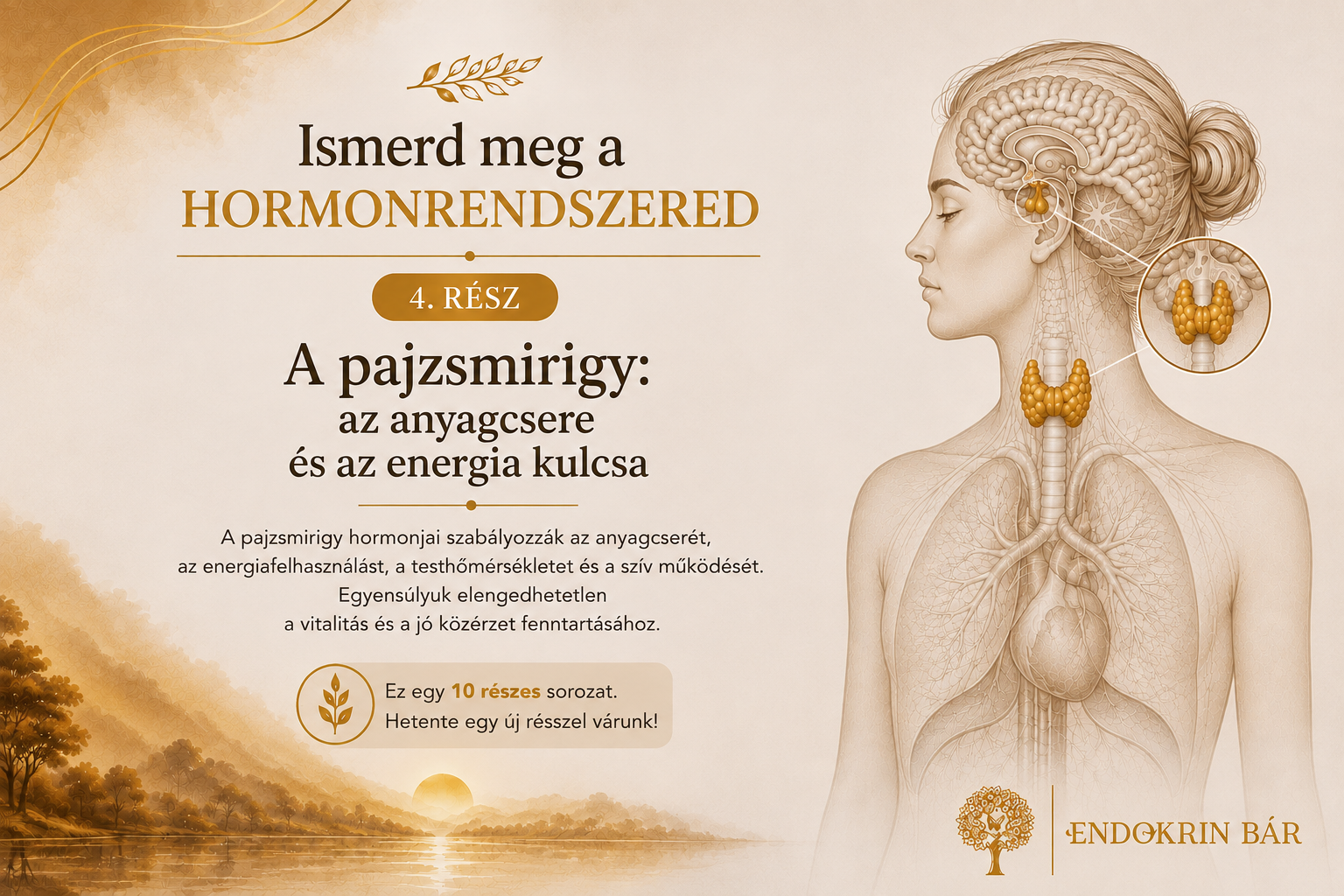 Pajzsmirigy