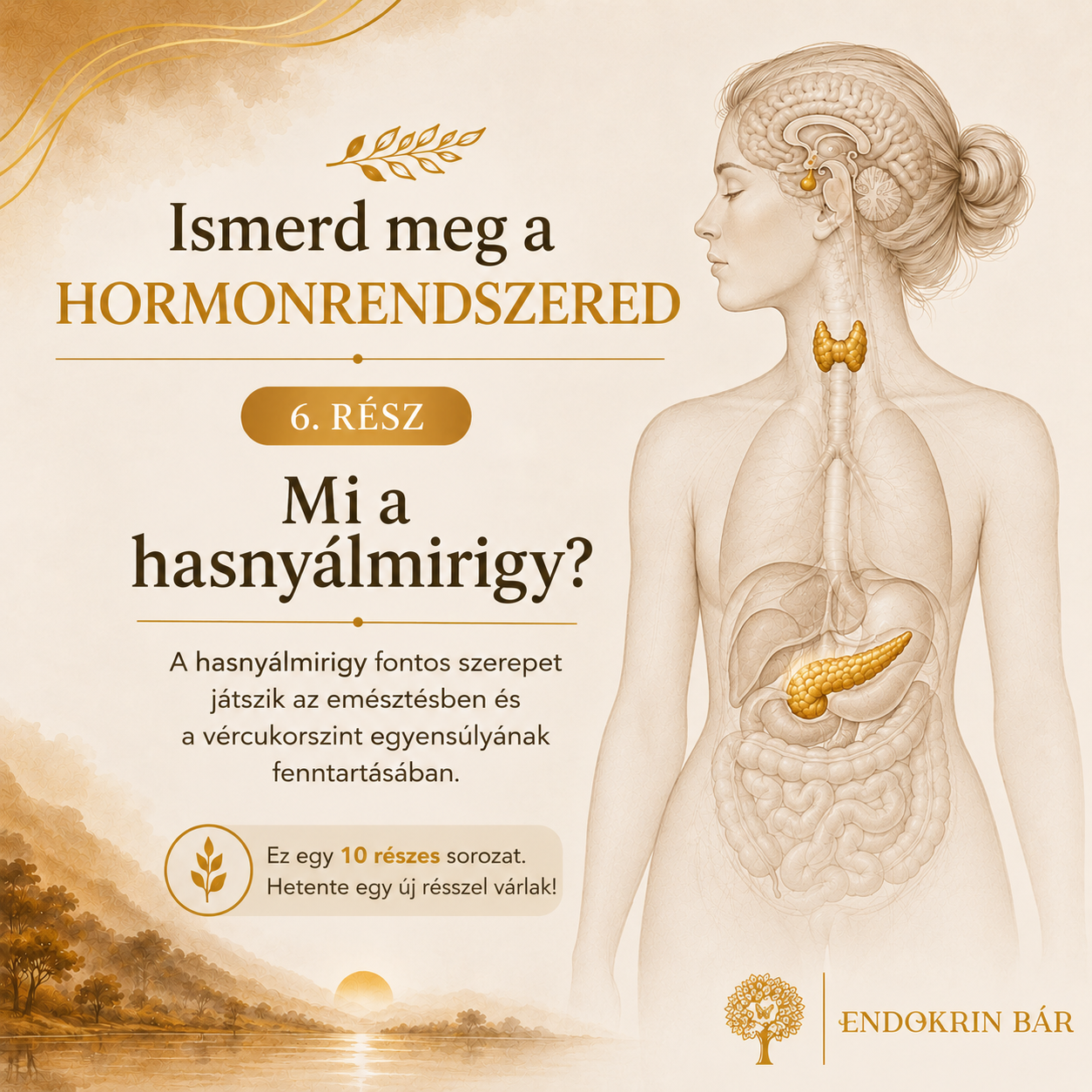 hasnyálmirigy blog